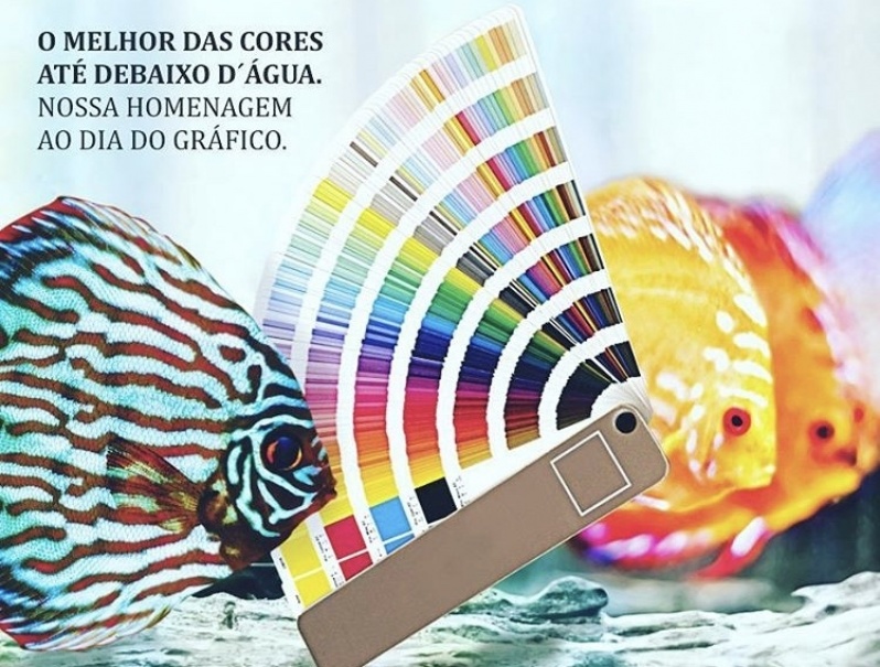 Gráfica Impressão Grandes Tiragens Jardim das Acácias - Gráfica Impressão de Revistas